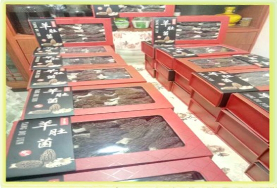 &#20048;&#31454;&#32593;&#39029;&#29256;&#30331;&#24405;&#20837;&#21475;&#45;&#20048;&#31454;&#40;&#20013;&#22269;&#41;