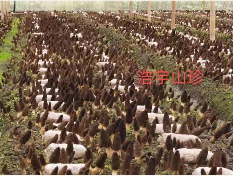 &#20048;&#31454;&#32593;&#39029;&#29256;&#30331;&#24405;&#20837;&#21475;&#45;&#20048;&#31454;&#40;&#20013;&#22269;&#41;