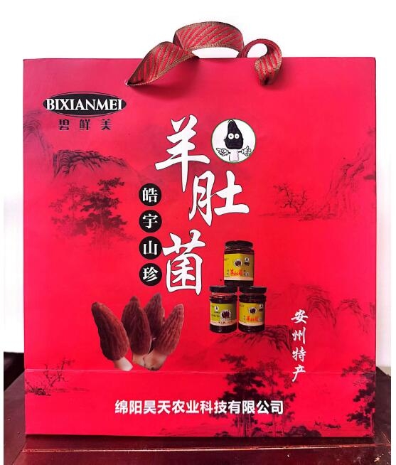 &#20048;&#31454;&#32593;&#39029;&#29256;&#30331;&#24405;&#20837;&#21475;&#45;&#20048;&#31454;&#40;&#20013;&#22269;&#41;