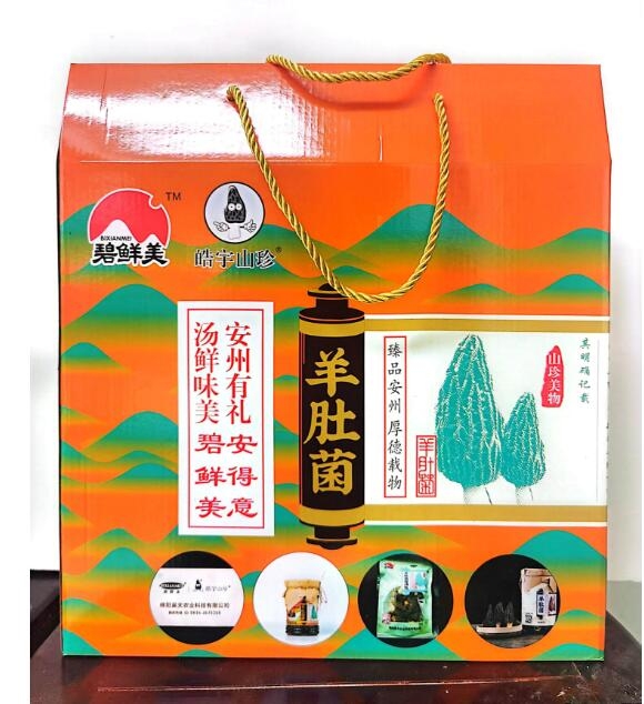&#20048;&#31454;&#32593;&#39029;&#29256;&#30331;&#24405;&#20837;&#21475;&#45;&#20048;&#31454;&#40;&#20013;&#22269;&#41;