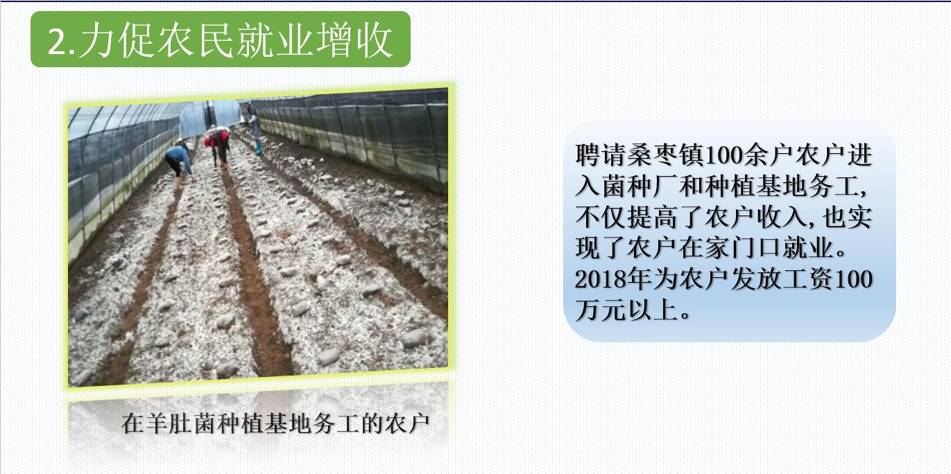 &#20048;&#31454;&#32593;&#39029;&#29256;&#30331;&#24405;&#20837;&#21475;&#45;&#20048;&#31454;&#40;&#20013;&#22269;&#41;