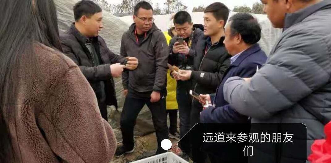 &#20048;&#31454;&#32593;&#39029;&#29256;&#30331;&#24405;&#20837;&#21475;&#45;&#20048;&#31454;&#40;&#20013;&#22269;&#41;