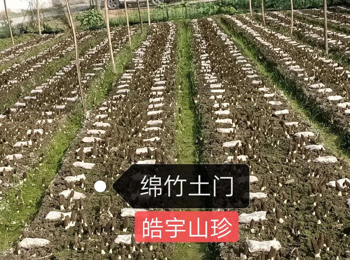 &#20048;&#31454;&#32593;&#39029;&#29256;&#30331;&#24405;&#20837;&#21475;&#45;&#20048;&#31454;&#40;&#20013;&#22269;&#41;