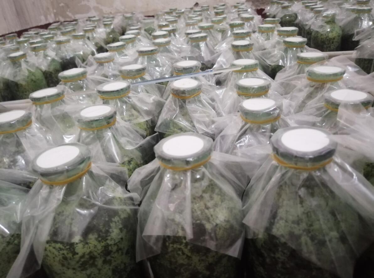 &#20048;&#31454;&#32593;&#39029;&#29256;&#30331;&#24405;&#20837;&#21475;&#45;&#20048;&#31454;&#40;&#20013;&#22269;&#41;