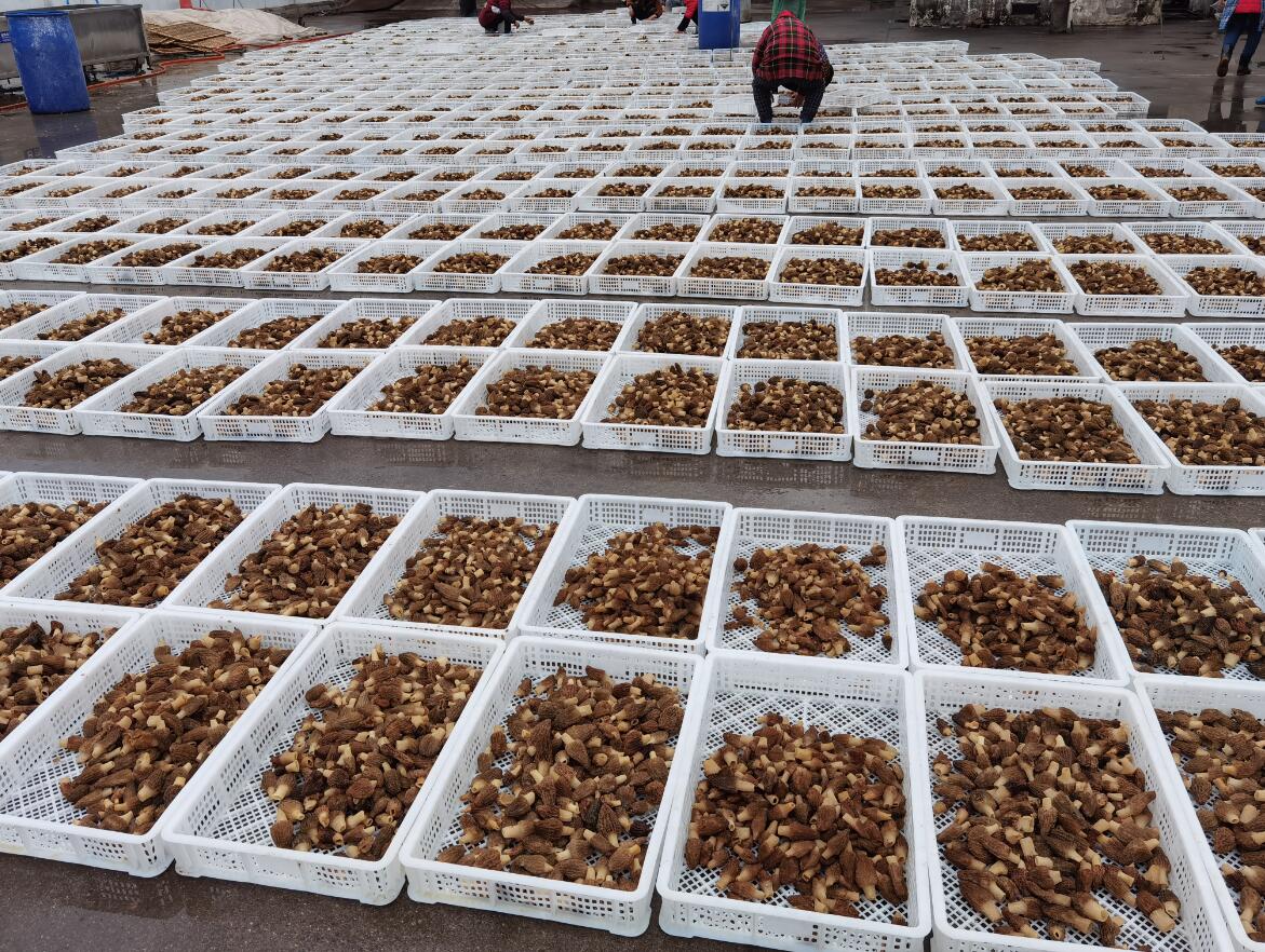 &#20048;&#31454;&#32593;&#39029;&#29256;&#30331;&#24405;&#20837;&#21475;&#45;&#20048;&#31454;&#40;&#20013;&#22269;&#41;