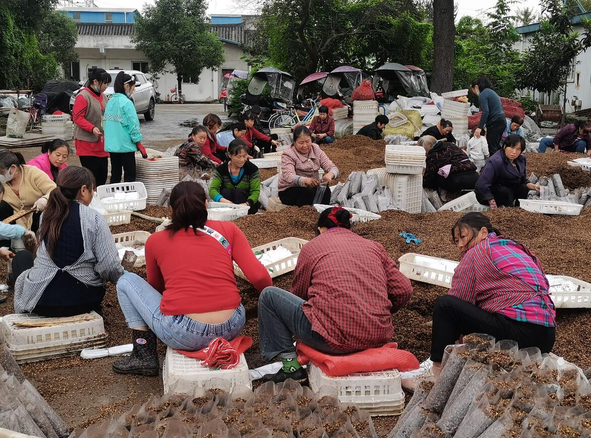 &#20048;&#31454;&#32593;&#39029;&#29256;&#30331;&#24405;&#20837;&#21475;&#45;&#20048;&#31454;&#40;&#20013;&#22269;&#41;