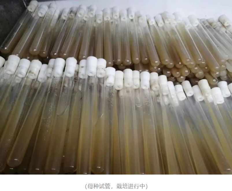 &#20048;&#31454;&#32593;&#39029;&#29256;&#30331;&#24405;&#20837;&#21475;&#45;&#20048;&#31454;&#40;&#20013;&#22269;&#41;