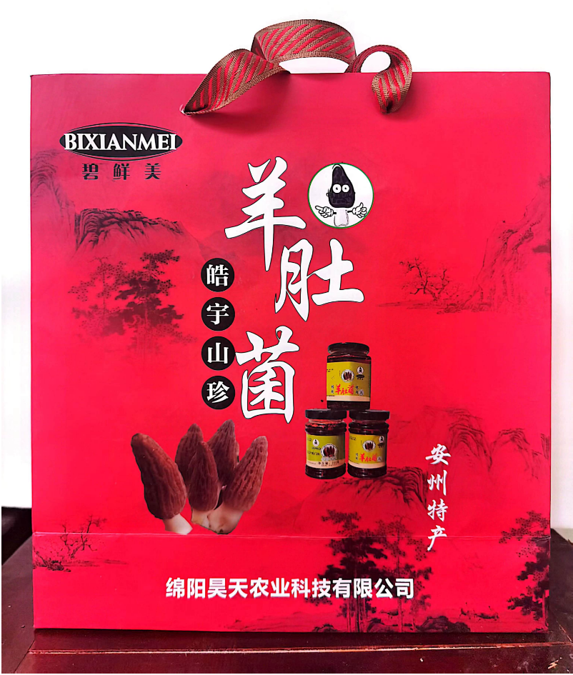 &#20048;&#31454;&#32593;&#39029;&#29256;&#30331;&#24405;&#20837;&#21475;&#45;&#20048;&#31454;&#40;&#20013;&#22269;&#41;